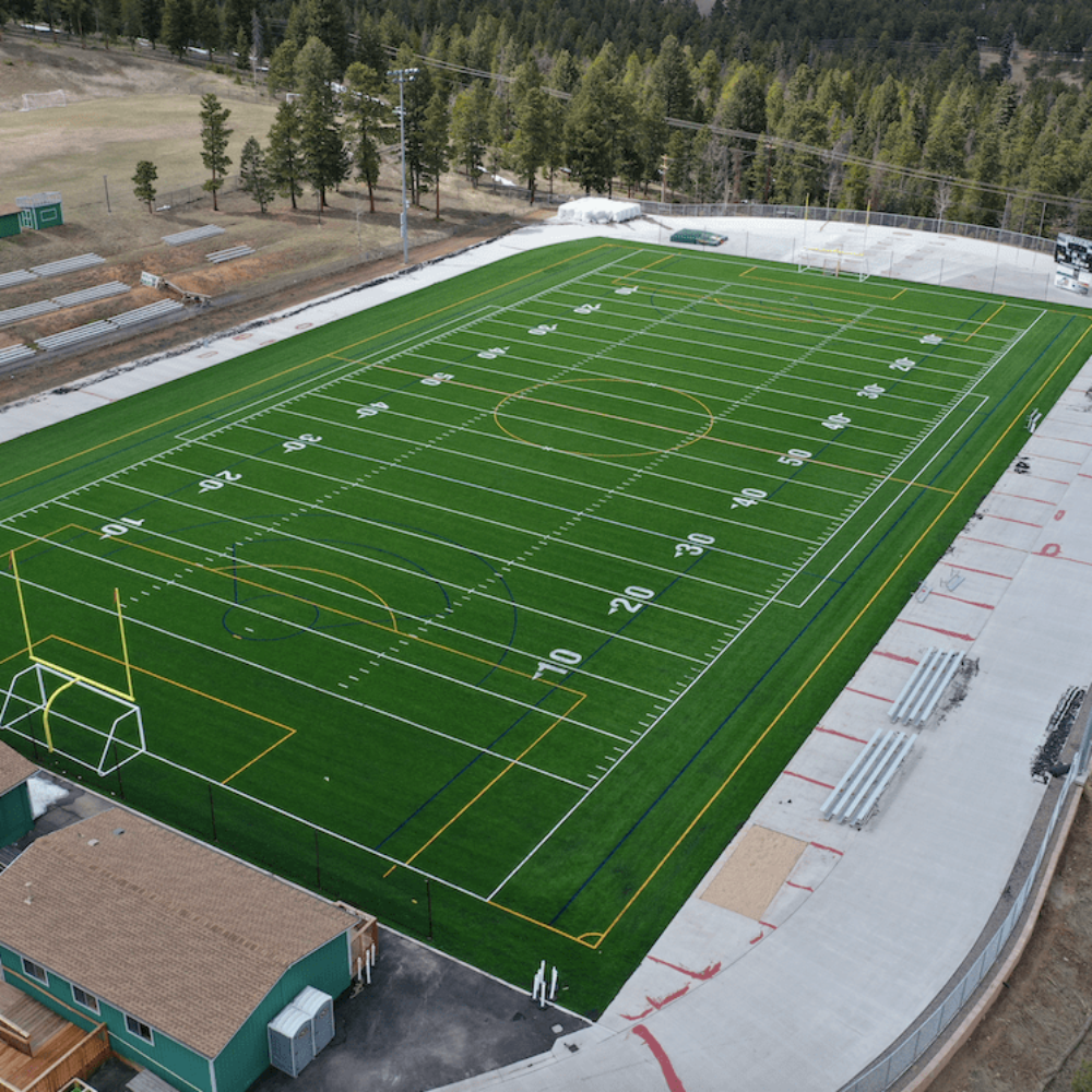 Conifer HS. FB 1